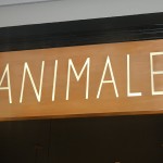 ANIMALE NO PARKSHOPPING SÃO CAETANO NO ABC PAULISTA