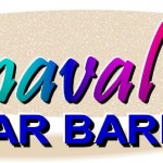 Carnaval 2016 de Barriga Lisa