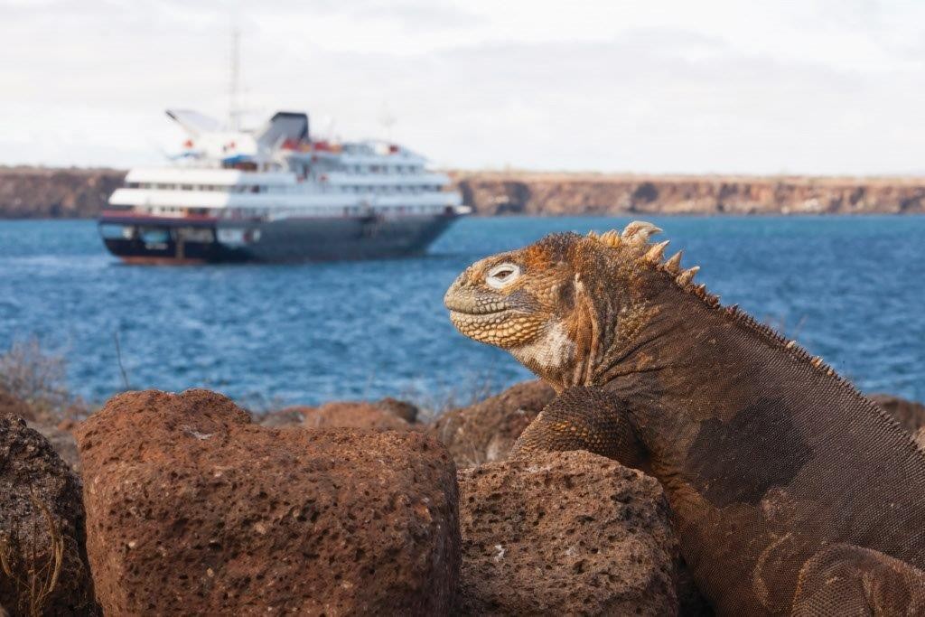 silversea