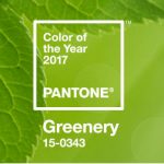 Greenery é a nova aposta da Pantone para 2017