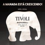 Tivoli Mofarrej recebe Elephant Parade até 1º de agosto